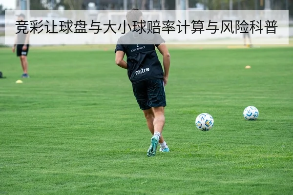 竞彩让球盘与大小球赔率计算与风险科普